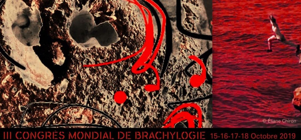 III Congrès mondial de Brachylogie. Octobre 2019